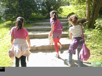 foret