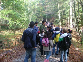 foret2