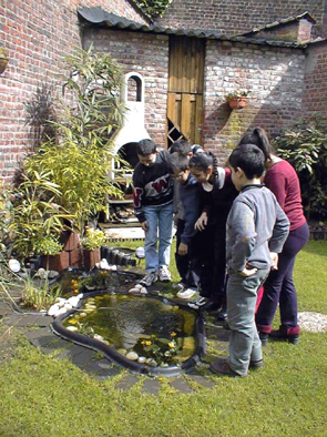 jardin