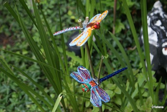 papillon