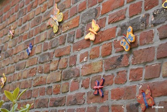 papillon