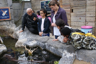 sealife